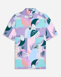 Monstera