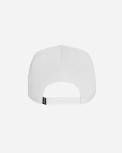 Texas Hat