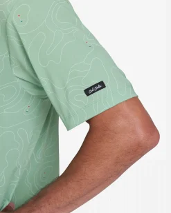 Topo Aloe
